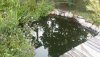 DSC_0056.JPG