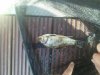 IMG-20140814-WA0006.jpg