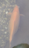 Screenshot_2014-08-14-18-09-15.png