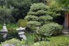 DSC_0816.JPG