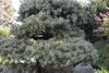 DSC_0817.JPG
