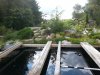 rps20140822_200123.jpg
