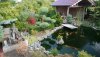 P1070783_800x450.JPG