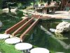 k-IMG_0750.JPG