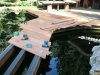 k-IMG_0774.JPG