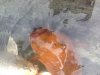 Foto 3.jpg