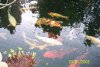 K640_100_0365.JPG