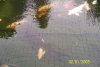 100_0453.JPG
