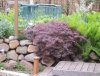 DSCN0552.JPG