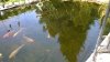 WP_20141011_002.jpg