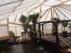 Foto 9.jpg