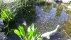 WP_20140530_006.jpg