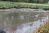 IMG_2612.JPG
