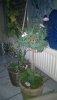 WP_20141202_002.jpg