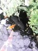 20140519_092529.jpg