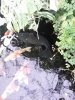 20140519_092530.jpg
