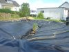 Bild 016.jpg