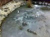 26012009413-001.jpg
