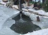 Winter101.jpg