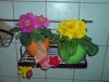 DSC00326.JPG