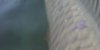 DSC007641.JPG