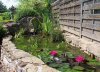 100_2498.JPG