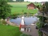 Teich.jpg
