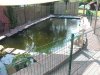 Teich.jpg