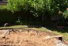 DSC_0062.jpg