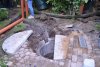 DSC_0016.jpg
