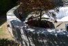 DSC_0009-2.jpg