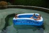 DSC_0090.jpg
