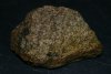 Detail eines Steines Koi live.JPG