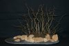 Wasser - Land - Penjing 14.12.2014 Koi live.JPG
