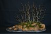 Wasser - Land Penjing 18.12.2014 Koi live.JPG