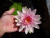 DSC03210.JPG
