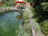 DSC01449.JPG