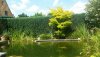 20140801_132137_resized.jpg