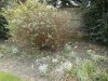 PICT0553.JPG
