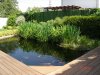DSC05113.JPG