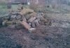 rps20150305_122603.jpg