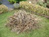 DSC05634.JPG