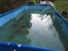 IMG_1063.JPG