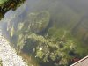 DSC05680.JPG