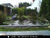 IMAG0177.JPG