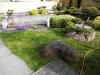 teichoase neubert verschiedenesapril 2015 007.jpg
