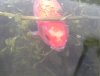 20150427_193232.jpg