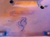 Brockmann Bonsaischale Signatur Koi live.JPG