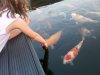 20140805_205026.jpg