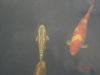DSC05807.JPG